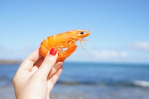 How Long is Shrimp Good for in the Fridge?
