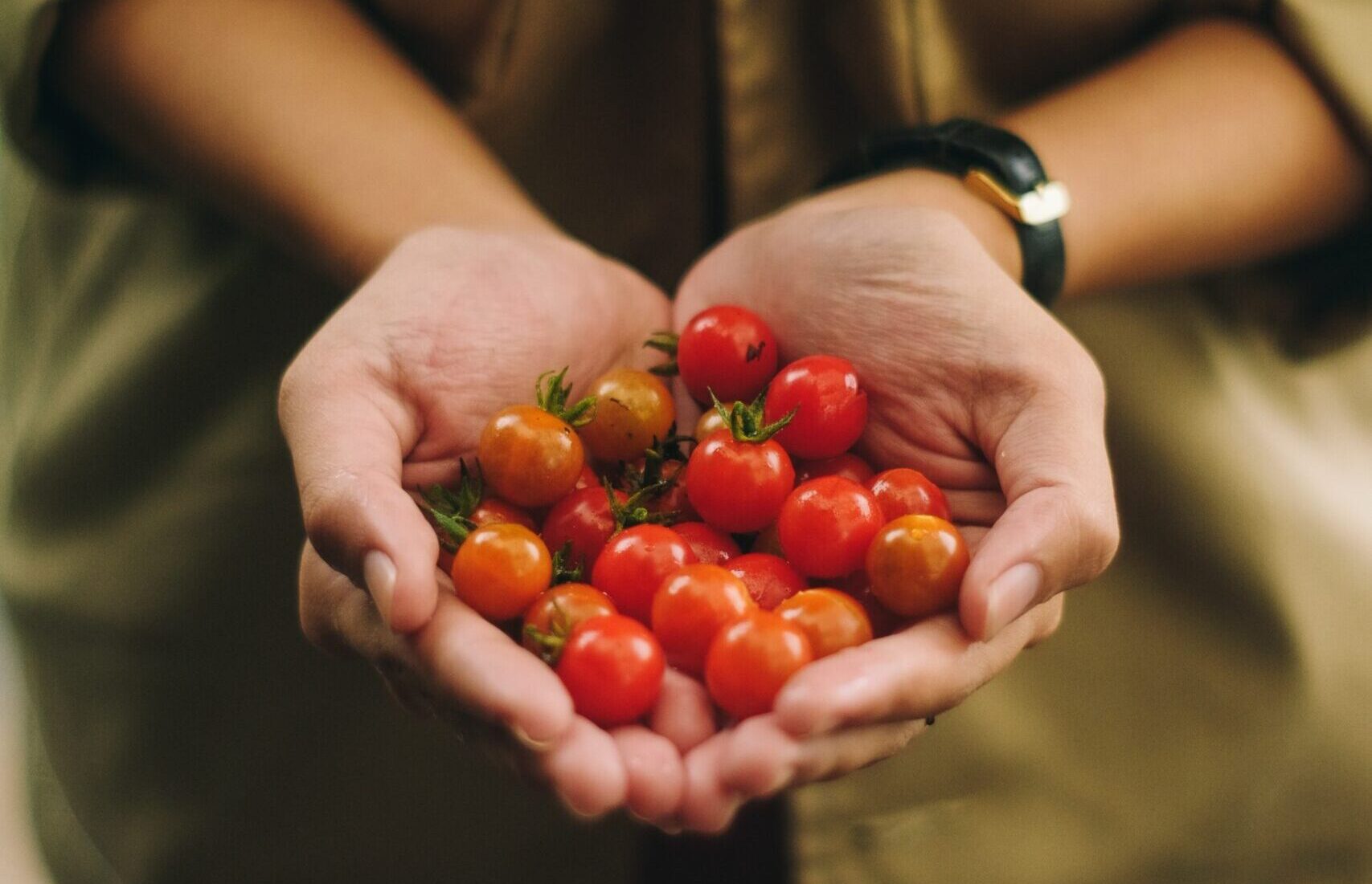 Best Way To Store Tomatoes