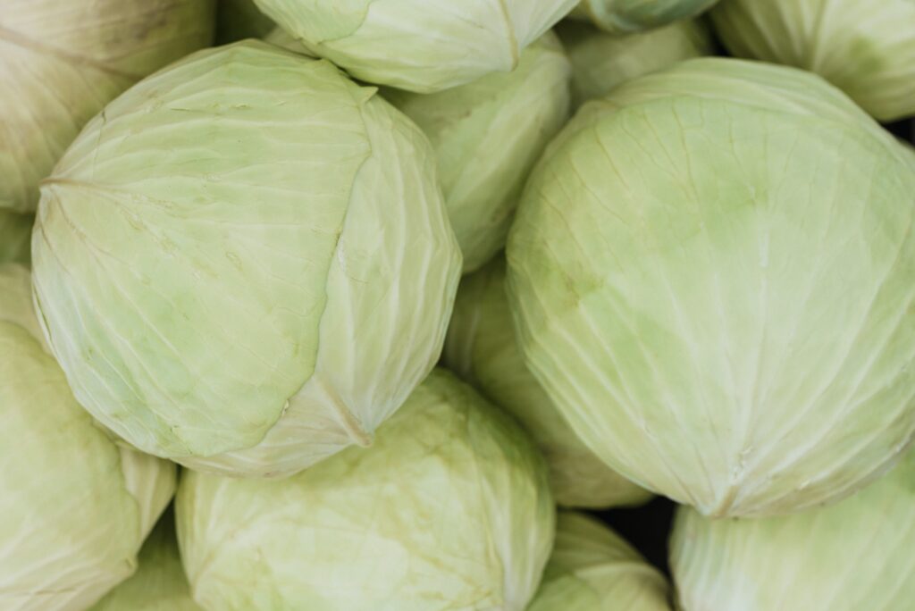 Can You Freeze Cooked Cabbage?